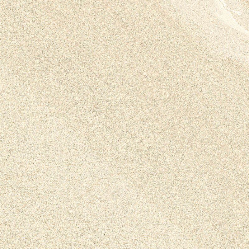 DT60S1681 (2)
