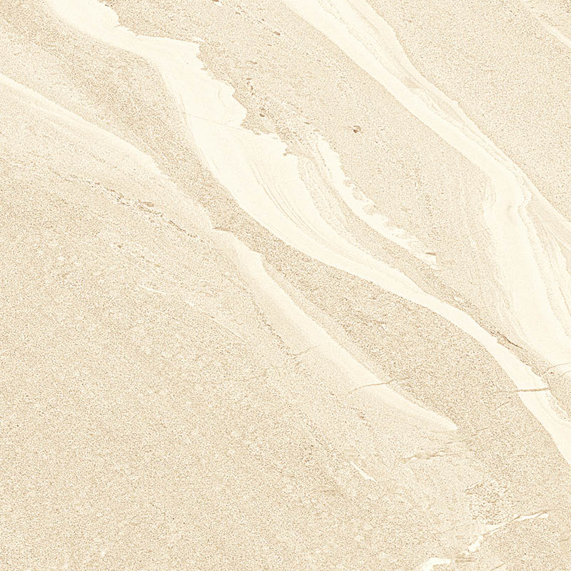 DT60S1681 (3)