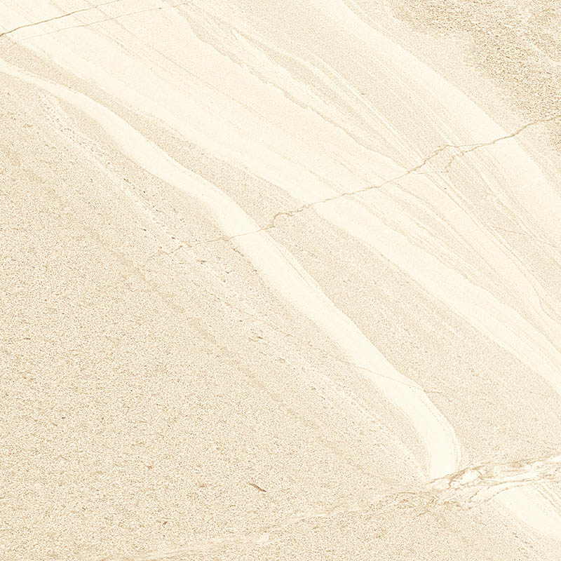 DT60S1681 (4)