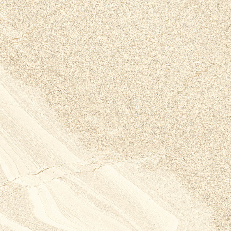 DT60S1681 (5)