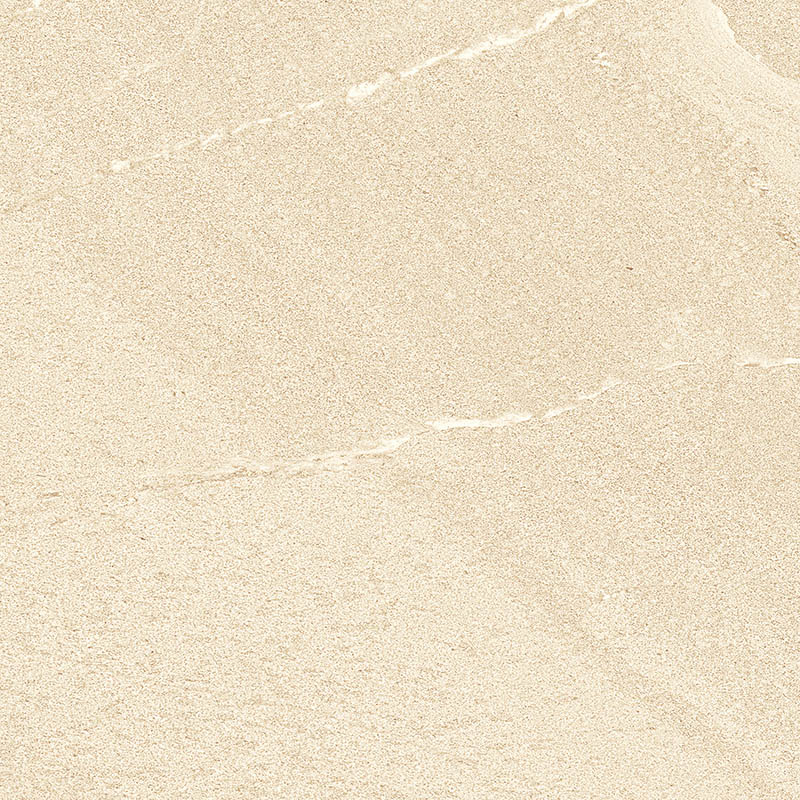 DT60S1681 (6)