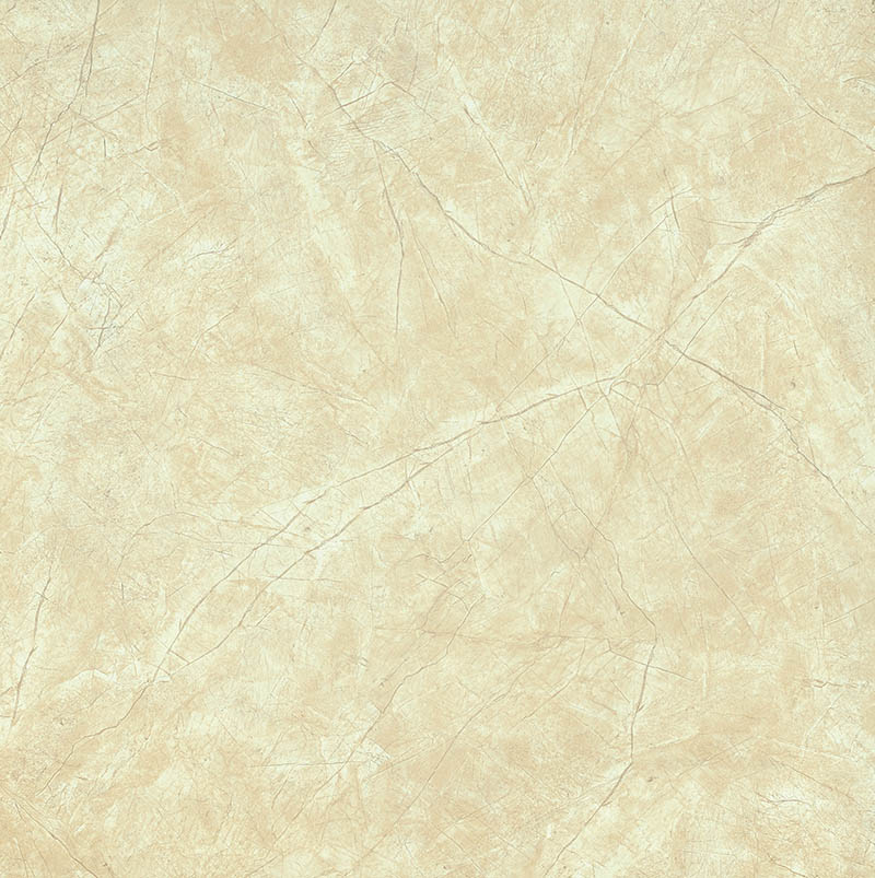 PL85305