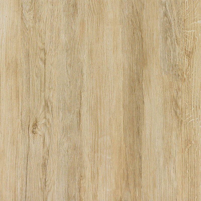 KDM66001