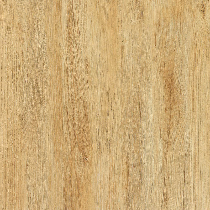 KDM66002