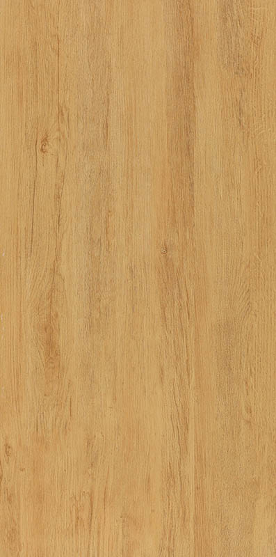 KDM696003 (1)