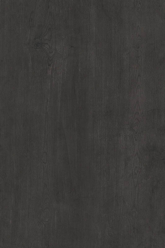 TM96029T