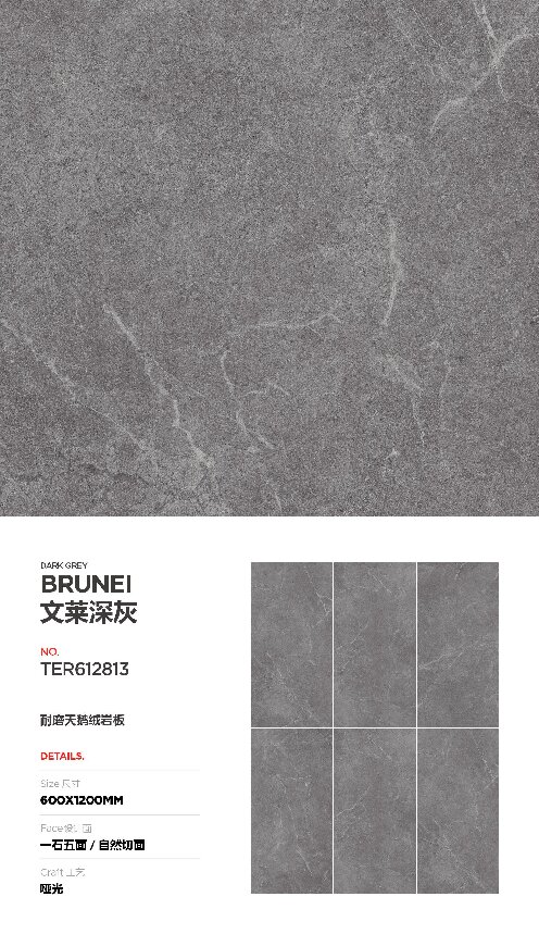 TER612813-文莱深灰