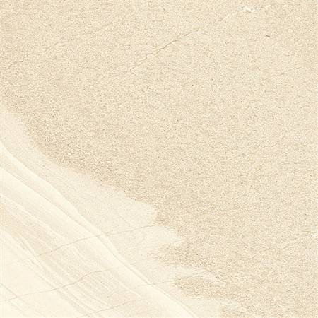 DT60S1681 (1)