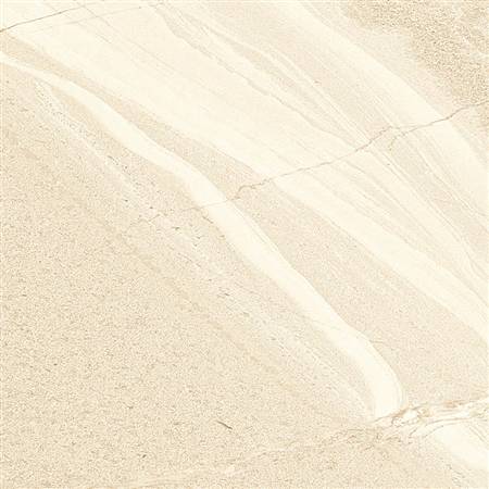 DT60S1681 (4)