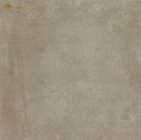 DT60B1636 (2)