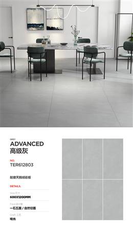 TER612803-高级灰