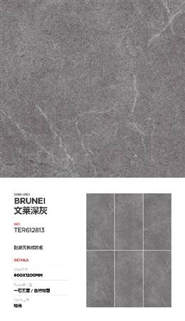 TER612813-文莱深灰