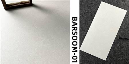 BS01M