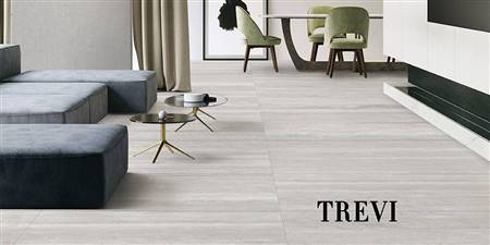 TREVI